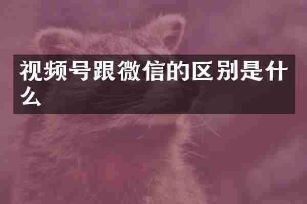 视频号跟微信的区别是什么