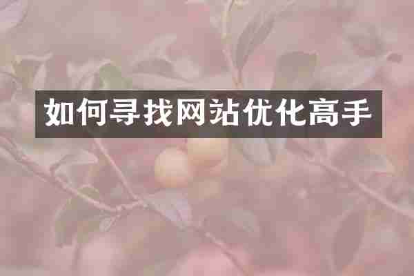 如何寻找网站优化高手