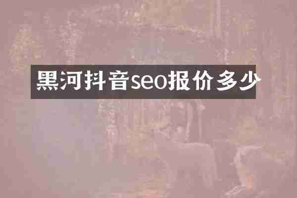 黑河抖音seo报价多少