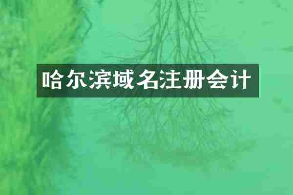 哈尔滨域名注册会计