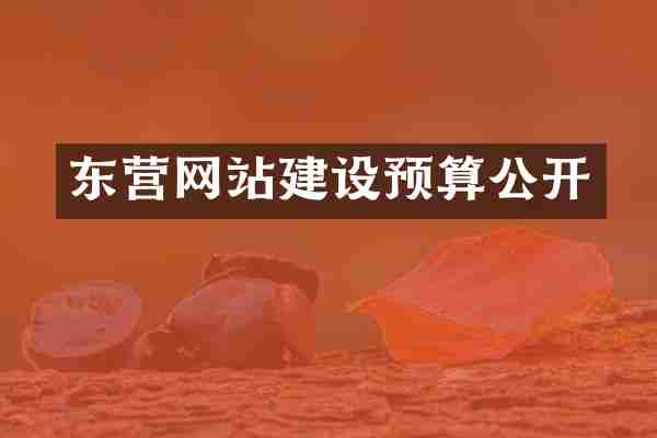 东营网站建设预算公开