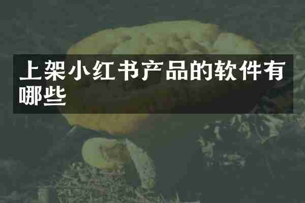 上架小红书产品的软件有哪些