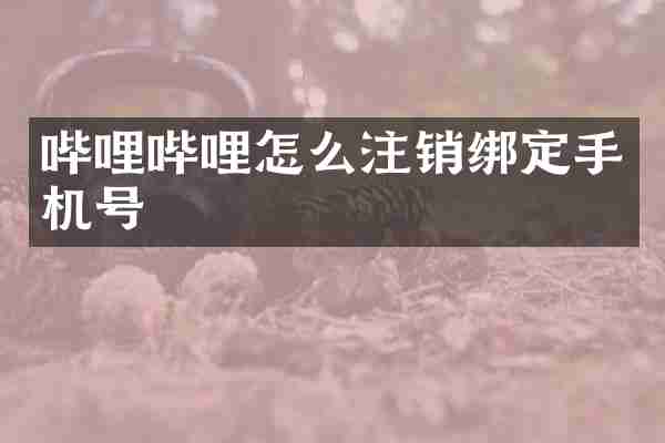哔哩哔哩怎么注销绑定手机号