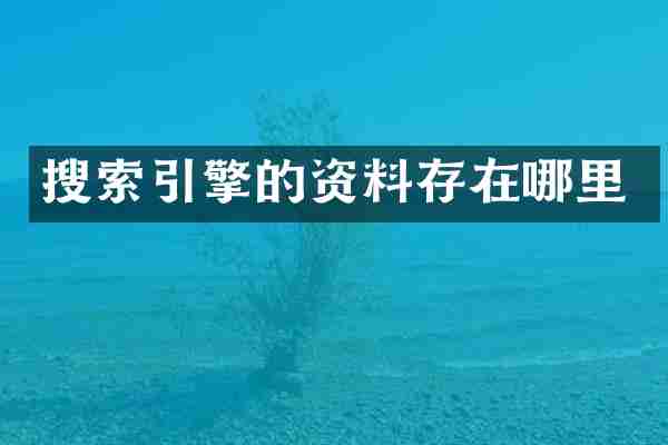 搜索引擎的资料存在哪里