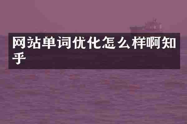 网站单词优化怎么样啊知乎