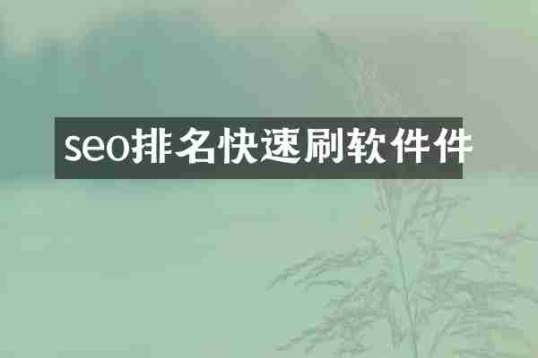 seo排名快速刷软件件