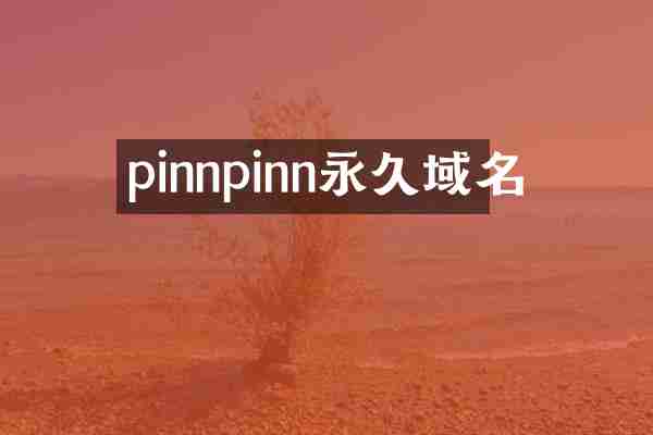 pinnpinn永久域名