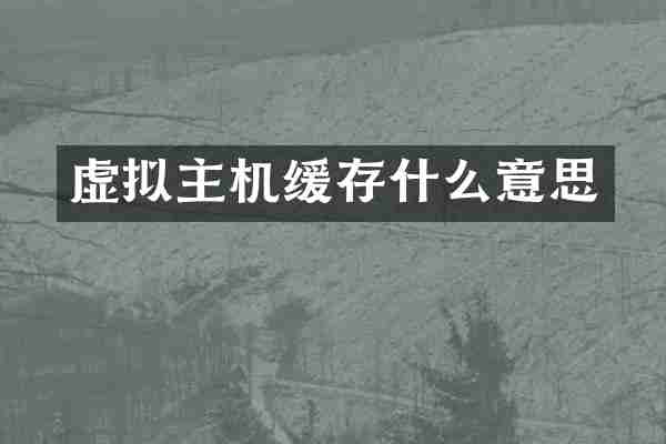 虚拟主机缓存什么意思