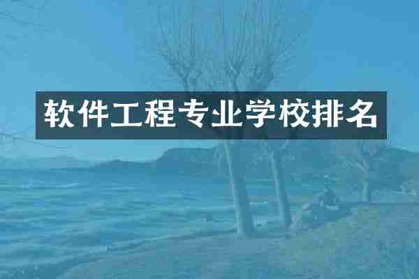 软件工程专业学校排名