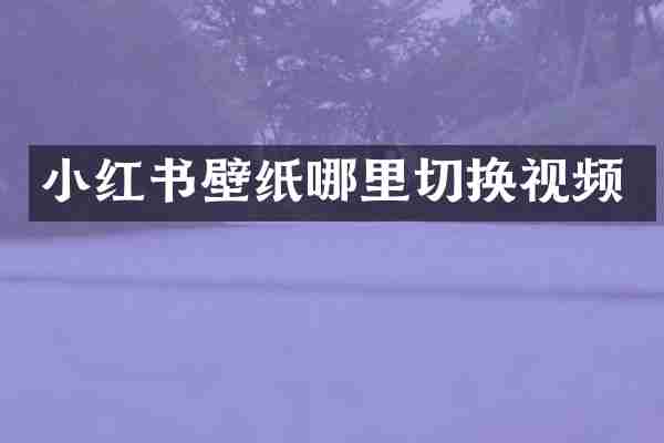 小红书壁纸哪里切换视频