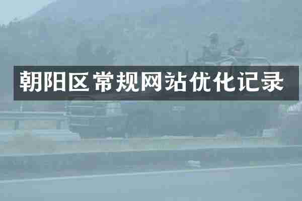 朝阳区常规网站优化记录