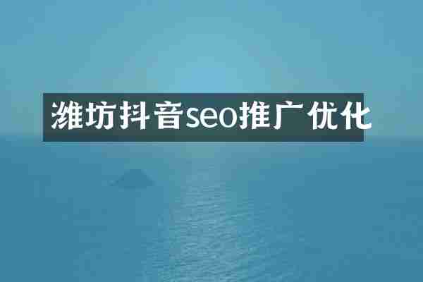 潍坊抖音seo推广优化