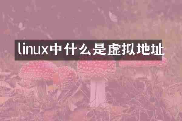 linux中什么是虚拟地址