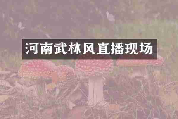 河南武林风直播现场
