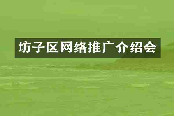 坊子区网络推广介绍会
