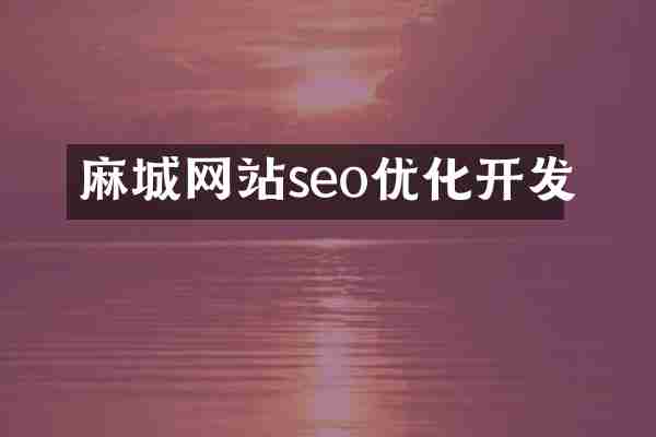 麻城网站seo优化开发