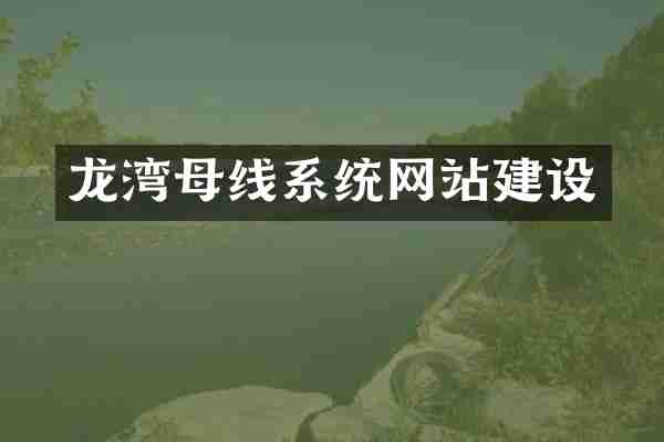 龙湾母线系统网站建设