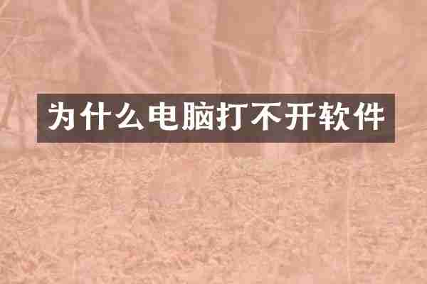 为什么电脑打不开软件