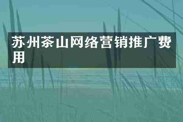 苏州茶山网络营销推广费用