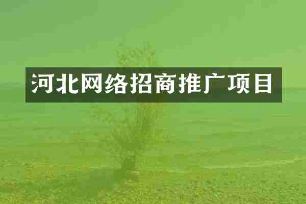 河北网络招商推广项目