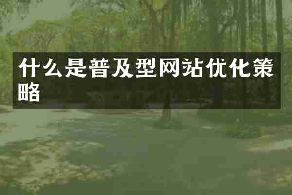 什么是普及型网站优化策略