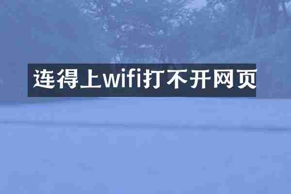 连得上wifi打不开网页
