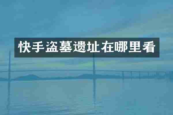 快手盗墓遗址在哪里看