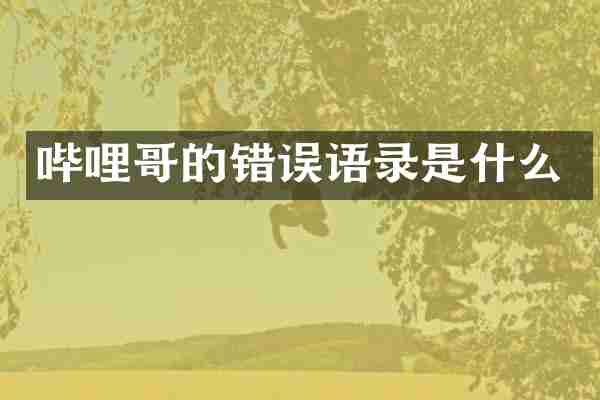 哔哩哥的错误语录是什么