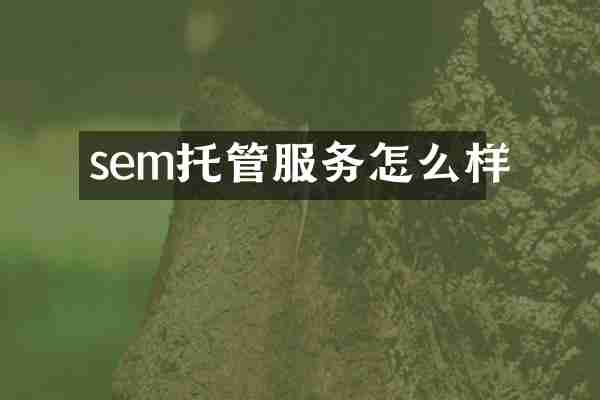 sem托管服务怎么样
