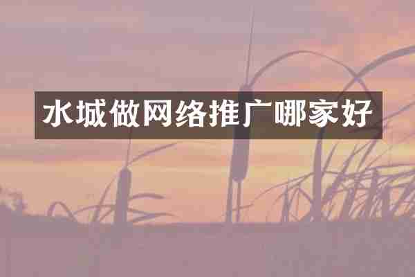 水城做网络推广哪家好