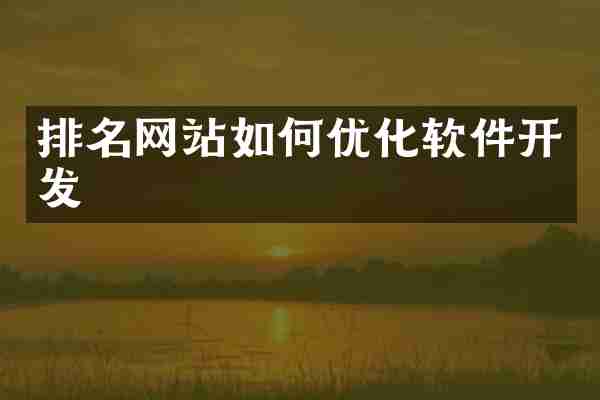 排名网站如何优化软件开发