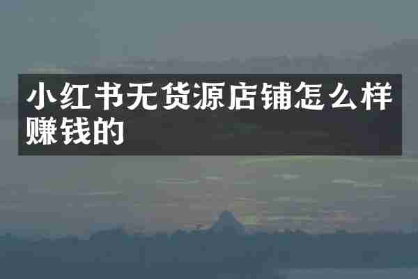 小红书无货源店铺怎么样赚钱的
