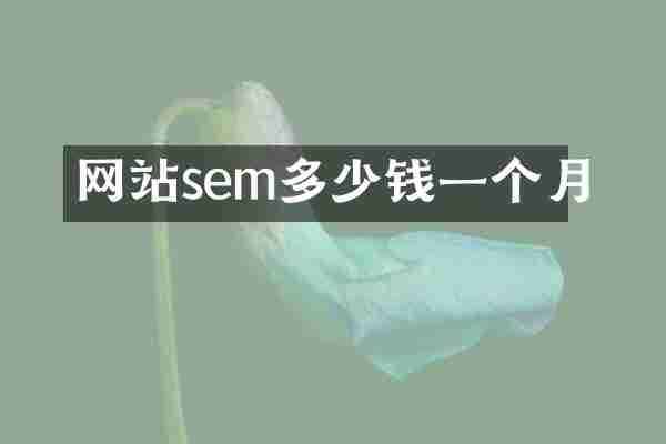 网站sem多少钱一个月