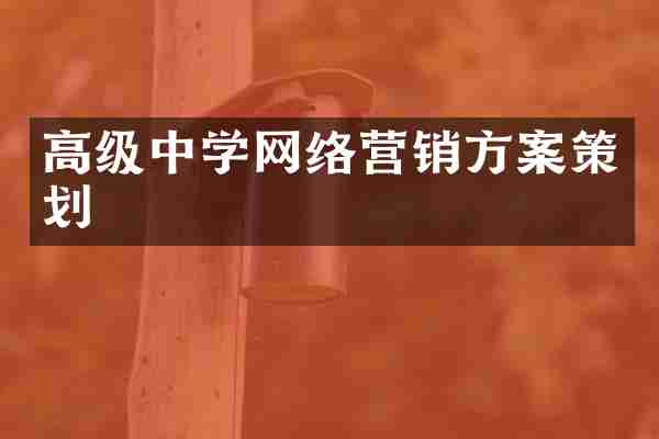 高级中学网络营销方案策划