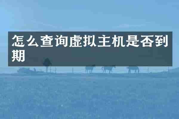 怎么查询虚拟主机是否到期
