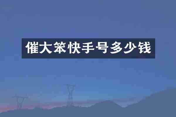 催大笨快手号多少钱