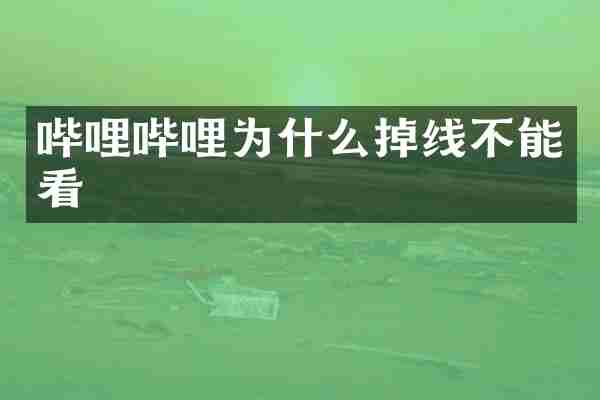 哔哩哔哩为什么掉线不能看