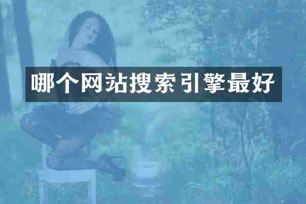 哪个网站搜索引擎最好
