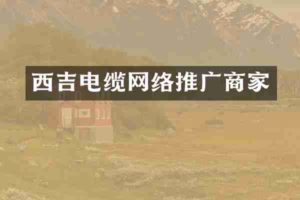 西吉电缆网络推广商家