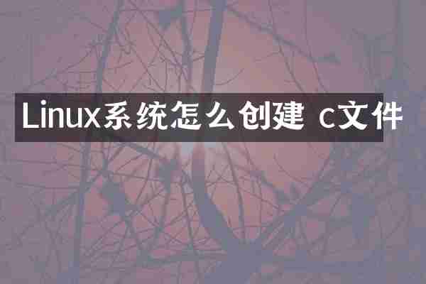 Linux系统怎么创建 c文件