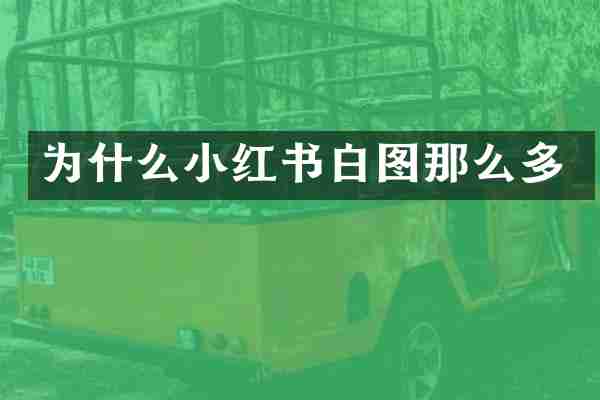 为什么小红书白图那么多