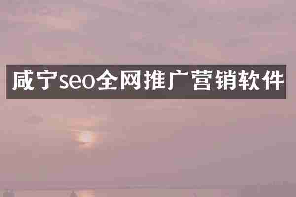 咸宁seo全网推广营销软件