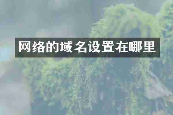 网络的域名设置在哪里