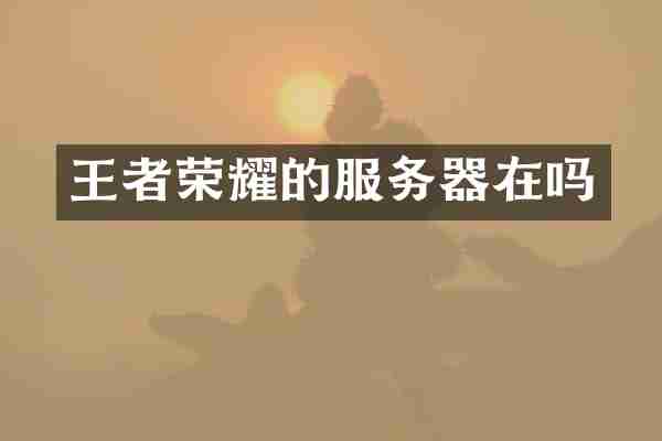 王者荣耀的服务器在吗