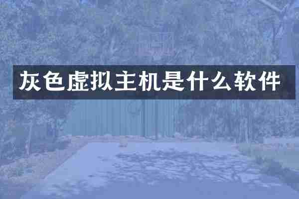 灰色虚拟主机是什么软件