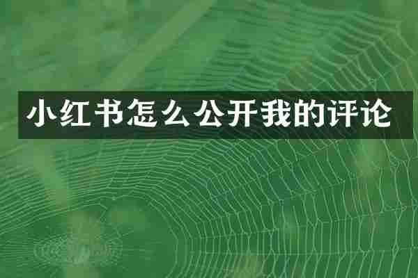 小红书怎么公开我的评论