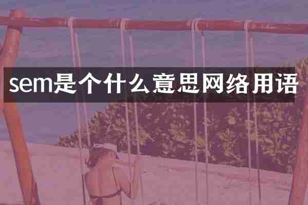 sem是个什么意思网络用语