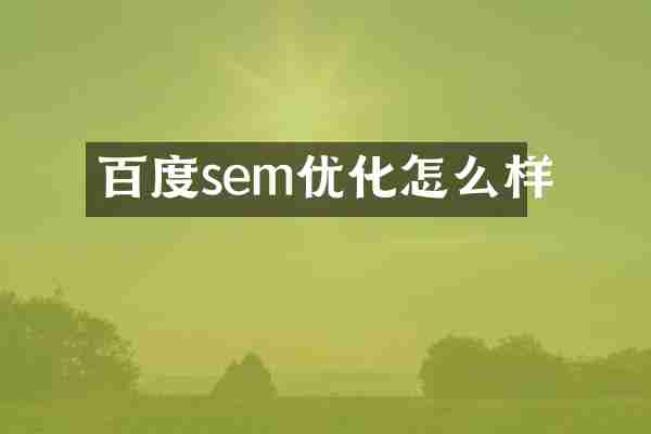 百度sem优化怎么样