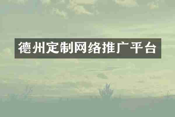 德州定制网络推广平台