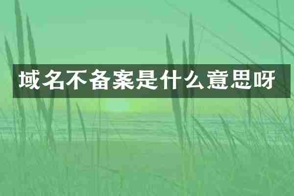 域名不备案是什么意思呀